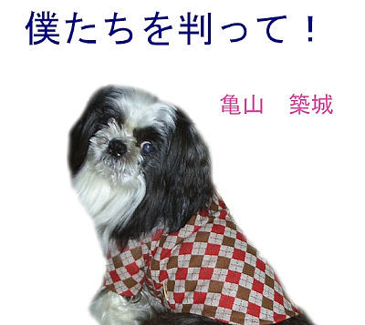 僕たちを判って!--背表紙(400).jpg