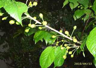 s-201004133.jpg