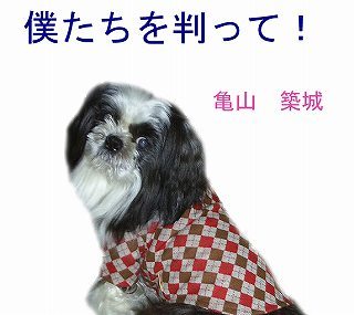 s-僕表紙.jpg